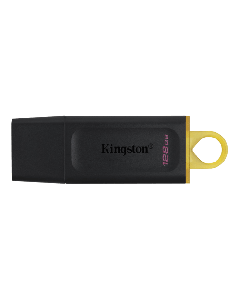 KINGSTON USB Flash memorija 128GB DTX/128GBSo cheap