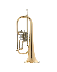 Lyra FH 100 Flugelhorn - FH 100 BBSo cheap