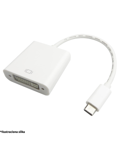 FAST ASIA adapter USB C 3.1 na DVI (m/ž)So cheap