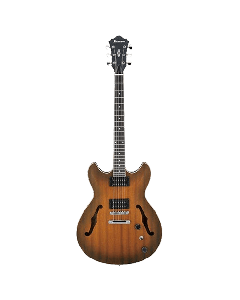 IBANEZ Električna gitara Hollow Body - AS53-TFSo cheap