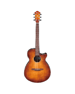 IBANEZ Akustična gitara AEG70-VVHSo cheap