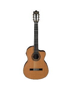 IBANEZ Klasična gitara GA6CE-AMSo cheap