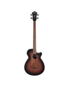 IBANEZ AEGB24E Akustična gitaraSo cheap