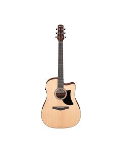 IBANEZ AAD50CE-LG Akustična gitaraSo cheap