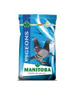 MANITOBA Energy 20 kg Hrana za goluboveSo cheap