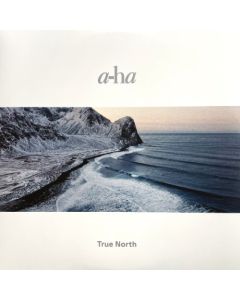 A-ha - True NorthSo cheap