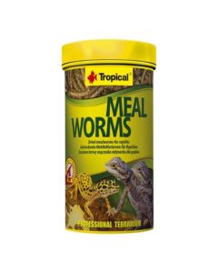 TROPICAL Meal Worms Osušeni crvići 13 g Hrana za reptile i ribeSo cheap