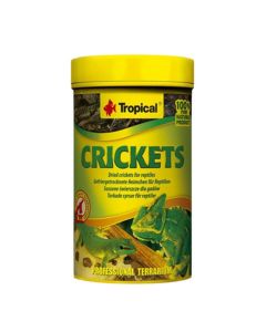 TROPICAL Crickets Osušeni cvrčci 10 g Hrana za reptileSo cheap