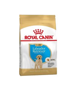 ROYAL CANIN Labrador Junior 3 kg Hrana za štenceSo cheap