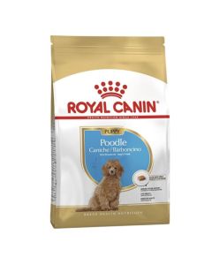 ROYAL CANIN Poodle Puppy 500 g Hrana za štence rase pudlaSo cheap