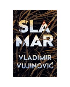 Slamar Vladimir VujinovićSo cheap