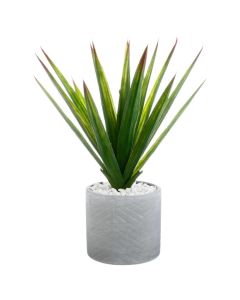 ATMOSPHERA Aloe vera u saksijiSo cheap