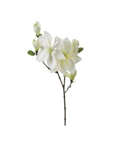 ATMOSPHERA Magnolia Stem 25x79 cm So cheap