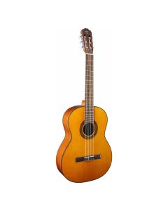 TAKAMINE GC1 NAT Klasična akustična gitaraSo cheap