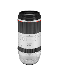 CANON Objektiv RF 100-500mm f/4.5-7.1LSo cheap